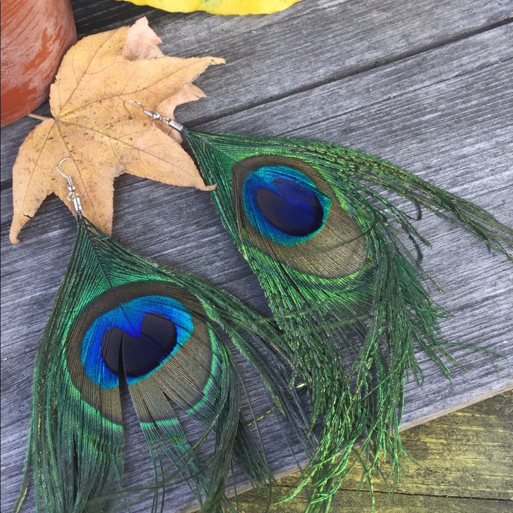 Peacock 🦚 Earrings